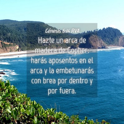 Picture 04 - Génesis 6:14 RVA - Hazte un arca de madera de Gopher: harás - Bible Verse Picture