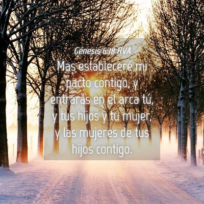 Picture 04 - Génesis 6:18 RVA - Mas estableceré mi pacto contigo, y entrarás en - Bible Verse Picture