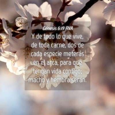 Picture 04 - Génesis 6:19 RVA - Y de todo lo que vive, de toda carne, dos de cada - Bible Verse Picture
