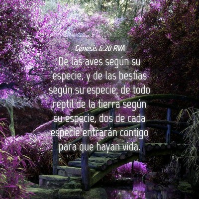 Picture 04 - Génesis 6:20 RVA - De las aves según su especie, y de las bestias - Bible Verse Picture