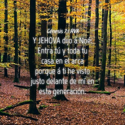 Picture 04 - Génesis 7:1 RVA - Y JEHOVA dijo á Noé: Entra tú y toda tu casa - Bible Verse Picture