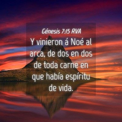 Picture 04 - Génesis 7:15 RVA - Y vinieron á Noé al arca, de dos en dos de toda - Bible Verse Picture