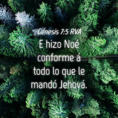 Picture 04 - Génesis 7:5 RVA - E hizo Noé conforme á todo lo que le mandó - Bible Verse Picture