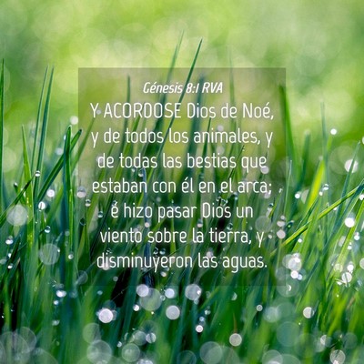 Picture 04 - Génesis 8:1 RVA - Y ACORDOSE Dios de Noé, y de todos los animales, - Bible Verse Picture