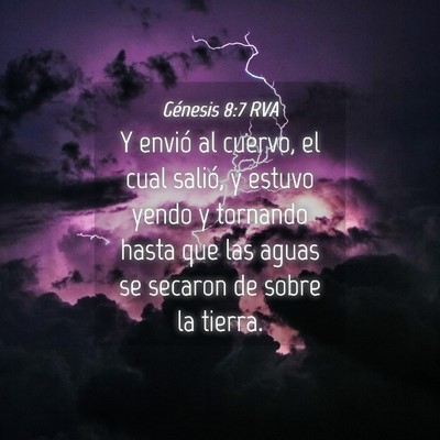 Picture 04 - Génesis 8:7 RVA - Y envió al cuervo, el cual salió, y estuvo - Bible Verse Picture
