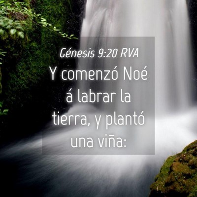 Picture 04 - Génesis 9:20 RVA - Y comenzó Noé á labrar la tierra, y plantó - Bible Verse Picture