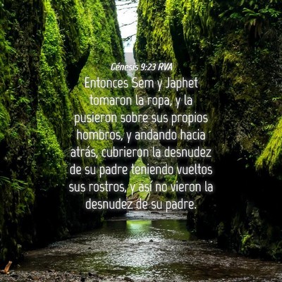 Picture 04 - Génesis 9:23 RVA - Entonces Sem y Japhet tomaron la ropa, y la - Bible Verse Picture