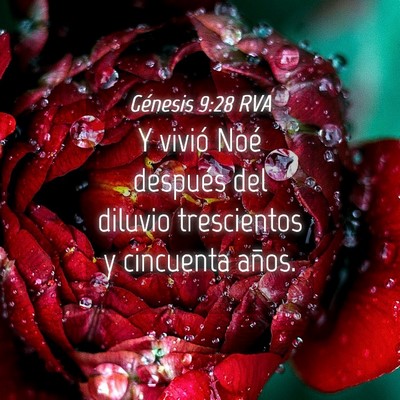 Picture 04 - Génesis 9:28 RVA - Y vivió Noé después del diluvio trescientos y - Bible Verse Picture