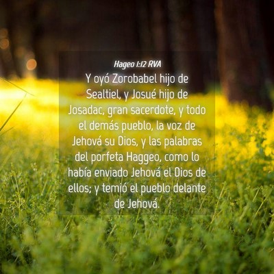 Picture 04 - Hageo 1:12 RVA - Y oyó Zorobabel hijo de Sealtiel, y Josué hijo - Bible Verse Picture