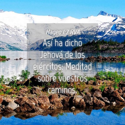 Picture 04 - Hageo 1:7 RVA - Así ha dicho Jehová de los ejércitos: Meditad - Bible Verse Picture