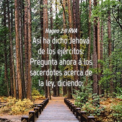 Picture 04 - Hageo 2:11 RVA - Así ha dicho Jehová de los ejércitos: Pregunta - Bible Verse Picture