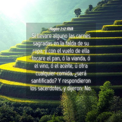 Picture 04 - Hageo 2:12 RVA - Si llevare alguno las carnes sagradas en la falda - Bible Verse Picture