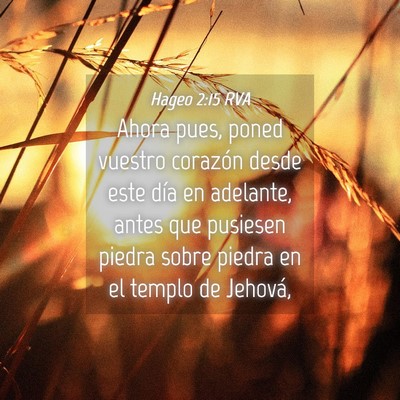 Picture 04 - Hageo 2:15 RVA - Ahora pues, poned vuestro corazón desde este - Bible Verse Picture