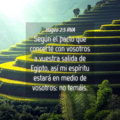 Picture 04 - Hageo 2:5 RVA - Según el pacto que concerté con vosotros a - Bible Verse Picture