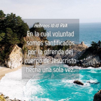 Picture 04 - Hebreos 10:10 RVA - En la cual voluntad somos santificados por la - Bible Verse Picture