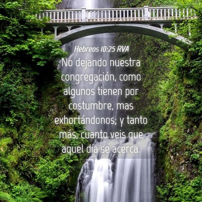 Picture 04 - Hebreos 10:25 RVA - No dejando nuestra congregación, como algunos - Bible Verse Picture