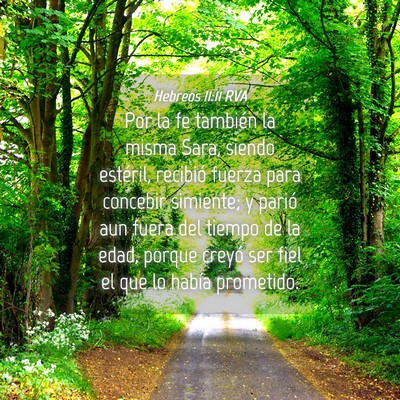 Picture 04 - Hebreos 11:11 RVA - Por la fe también la misma Sara, siendo - Bible Verse Picture