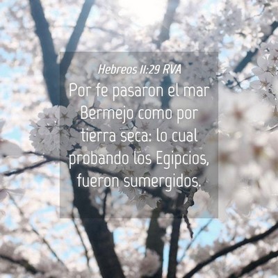 Picture 04 - Hebreos 11:29 RVA - Por fe pasaron el mar Bermejo como por tierra - Bible Verse Picture