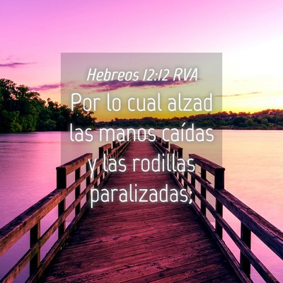 Picture 04 - Hebreos 12:12 RVA - Por lo cual alzad las manos caídas y las - Bible Verse Picture