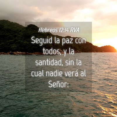 Picture 04 - Hebreos 12:14 RVA - Seguid la paz con todos, y la santidad, sin la - Bible Verse Picture