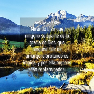 Picture 04 - Hebreos 12:15 RVA - Mirando bien que ninguno se aparte de la gracia - Bible Verse Picture