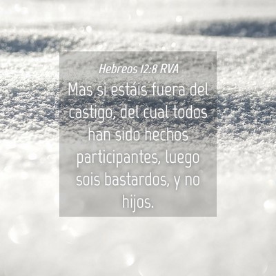 Picture 04 - Hebreos 12:8 RVA - Mas si estáis fuera del castigo, del cual todos - Bible Verse Picture