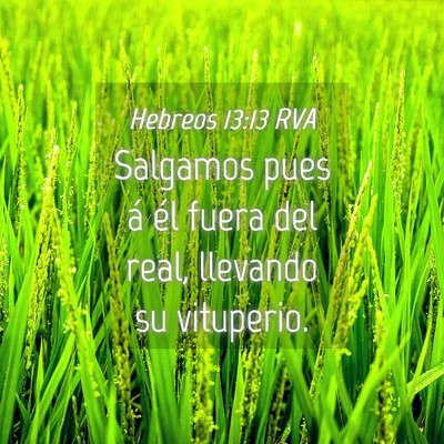 Picture 04 - Hebreos 13:13 RVA - Salgamos pues á él fuera del real, llevando su - Bible Verse Picture