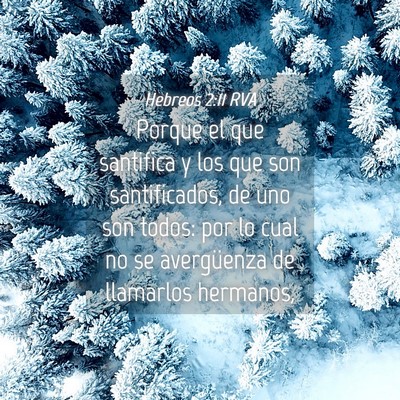 Picture 04 - Hebreos 2:11 RVA - Porque el que santifica y los que son - Bible Verse Picture