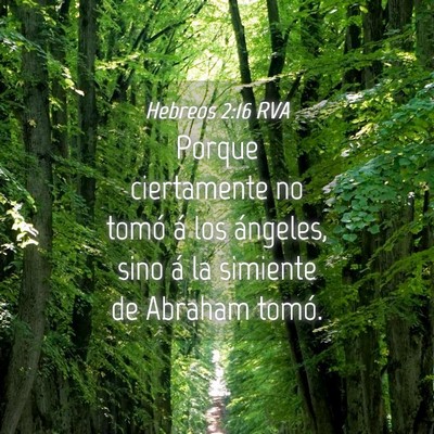 Picture 04 - Hebreos 2:16 RVA - Porque ciertamente no tomó á los ángeles, sino - Bible Verse Picture