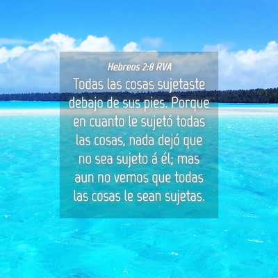Picture 04 - Hebreos 2:8 RVA - Todas las cosas sujetaste debajo de sus pies. - Bible Verse Picture