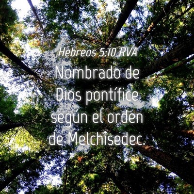 Picture 04 - Hebreos 5:10 RVA - Nombrado de Dios pontífice según el orden de - Bible Verse Picture