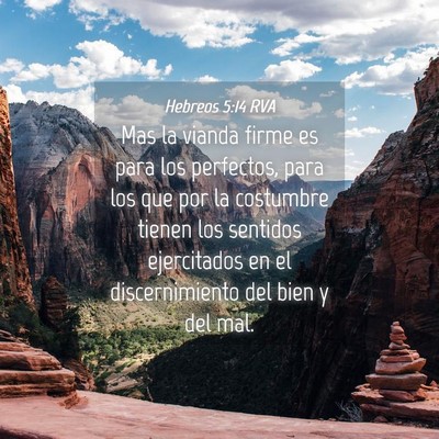 Picture 04 - Hebreos 5:14 RVA - Mas la vianda firme es para los perfectos, para - Bible Verse Picture