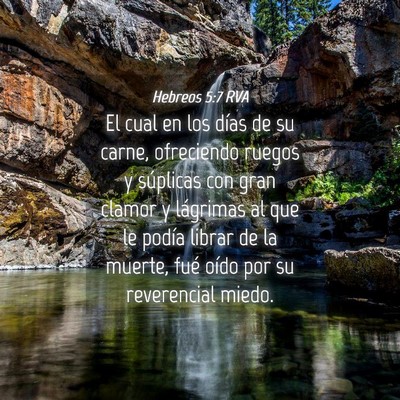 Picture 04 - Hebreos 5:7 RVA - El cual en los días de su carne, ofreciendo - Bible Verse Picture