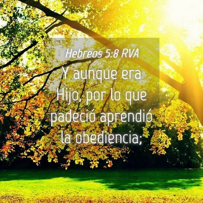 Picture 04 - Hebreos 5:8 RVA - Y aunque era Hijo, por lo que padeció aprendió - Bible Verse Picture