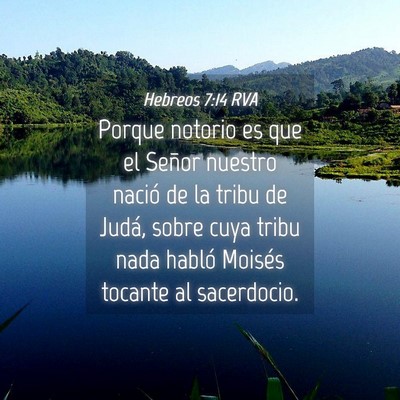 Picture 04 - Hebreos 7:14 RVA - Porque notorio es que el Señor nuestro nació de - Bible Verse Picture