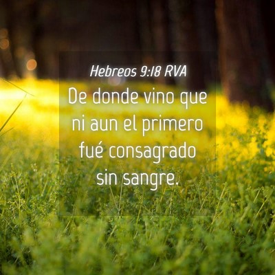 Picture 04 - Hebreos 9:18 RVA - De donde vino que ni aun el primero fué - Bible Verse Picture