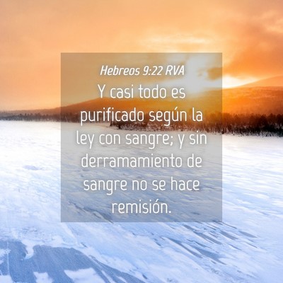 Picture 04 - Hebreos 9:22 RVA - Y casi todo es purificado según la ley con - Bible Verse Picture