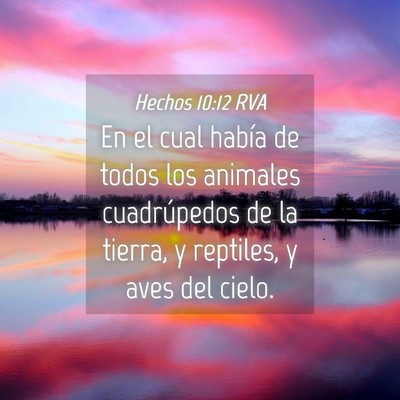Picture 04 - Hechos 10:12 RVA - En el cual había de todos los animales - Bible Verse Picture
