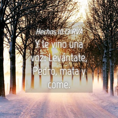 Picture 04 - Hechos 10:13 RVA - Y le vino una voz: Levántate, Pedro, mata y - Bible Verse Picture