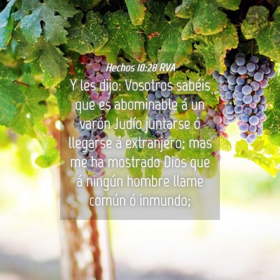 Picture 04 - Hechos 10:28 RVA - Y les dijo: Vosotros sabéis que es abominable á - Bible Verse Picture