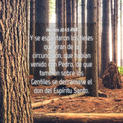Picture 04 - Hechos 10:45 RVA - Y se espantaron los fieles que eran de la - Bible Verse Picture