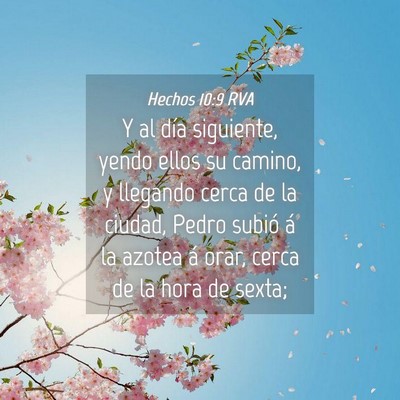Picture 04 - Hechos 10:9 RVA - Y al día siguiente, yendo ellos su camino, y - Bible Verse Picture