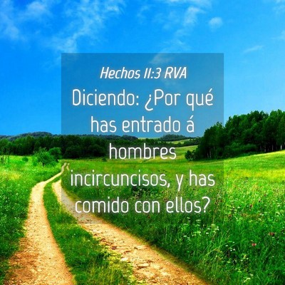 Picture 04 - Hechos 11:3 RVA - Diciendo: ¿Por qué has entrado á hombres - Bible Verse Picture