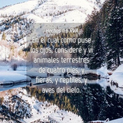 Picture 04 - Hechos 11:6 RVA - En el cual como puse los ojos, consideré y vi - Bible Verse Picture