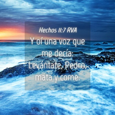 Picture 04 - Hechos 11:7 RVA - Y oí una voz que me decía: Levántate, Pedro, - Bible Verse Picture