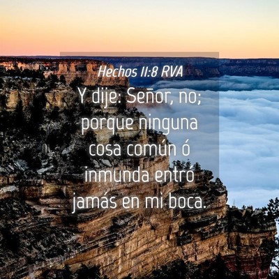 Picture 04 - Hechos 11:8 RVA - Y dije: Señor, no; porque ninguna cosa común ó - Bible Verse Picture