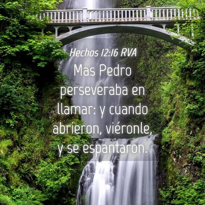 Picture 04 - Hechos 12:16 RVA - Mas Pedro perseveraba en llamar: y cuando - Bible Verse Picture