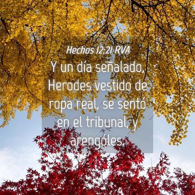 Picture 04 - Hechos 12:21 RVA - Y un día señalado, Herodes vestido de ropa - Bible Verse Picture