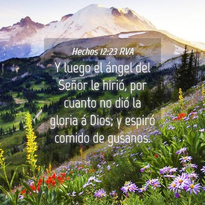 Picture 04 - Hechos 12:23 RVA - Y luego el ángel del Señor le hirió, por - Bible Verse Picture