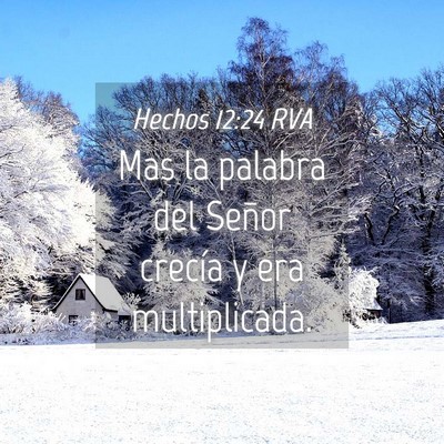 Picture 04 - Hechos 12:24 RVA - Mas la palabra del Señor crecía y era - Bible Verse Picture